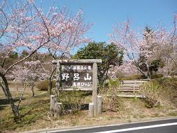 P1040531-1.JPG