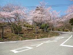 P1040533-1.JPG