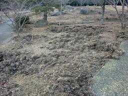 CIMG4327-1.JPG