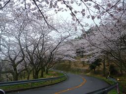 P1060320-1.JPG