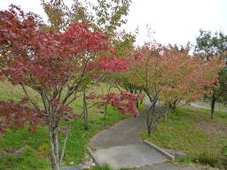 P1070404-1.JPG