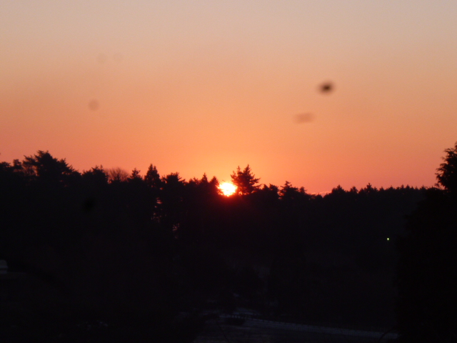 P1070620.JPG